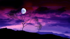 scary night sky or romantic or fantasy moon night pink violet purple sky?