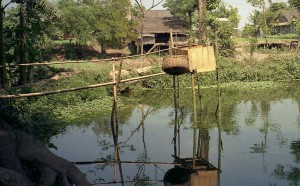 Vietnam toilet in country side